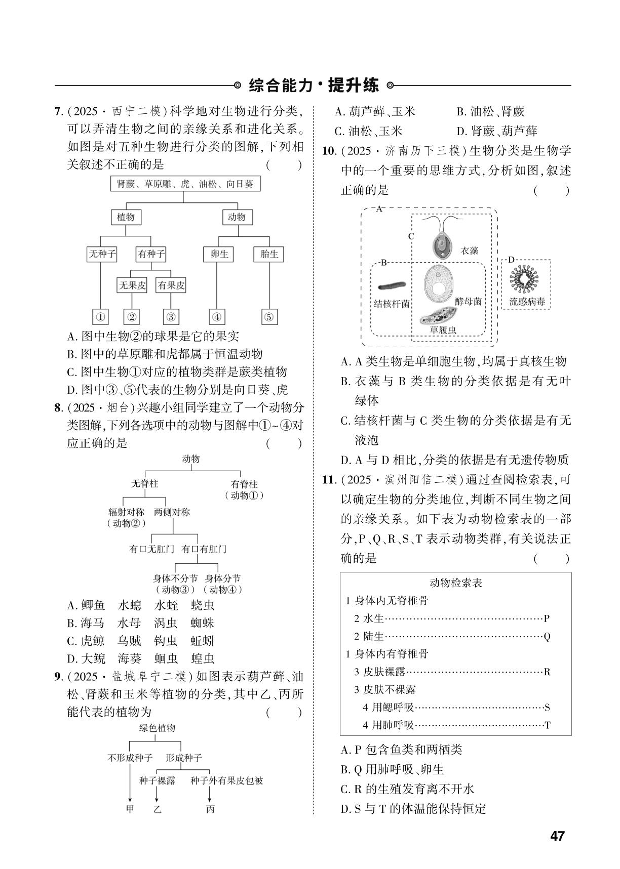 第2单元 第4章 生物分类的方法-【中考对策】2026年中考总复习生物（人教版）