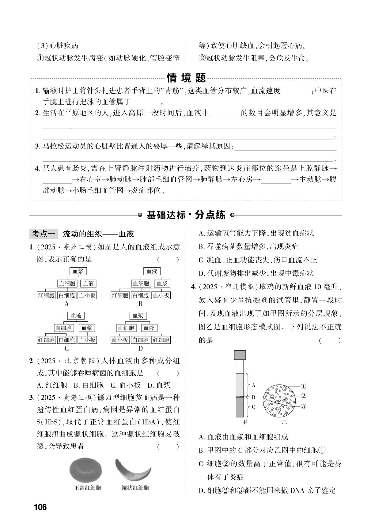 第4单元 第4章 人体内物质的运输-【中考对策】2026年中考总复习生物（人教版）