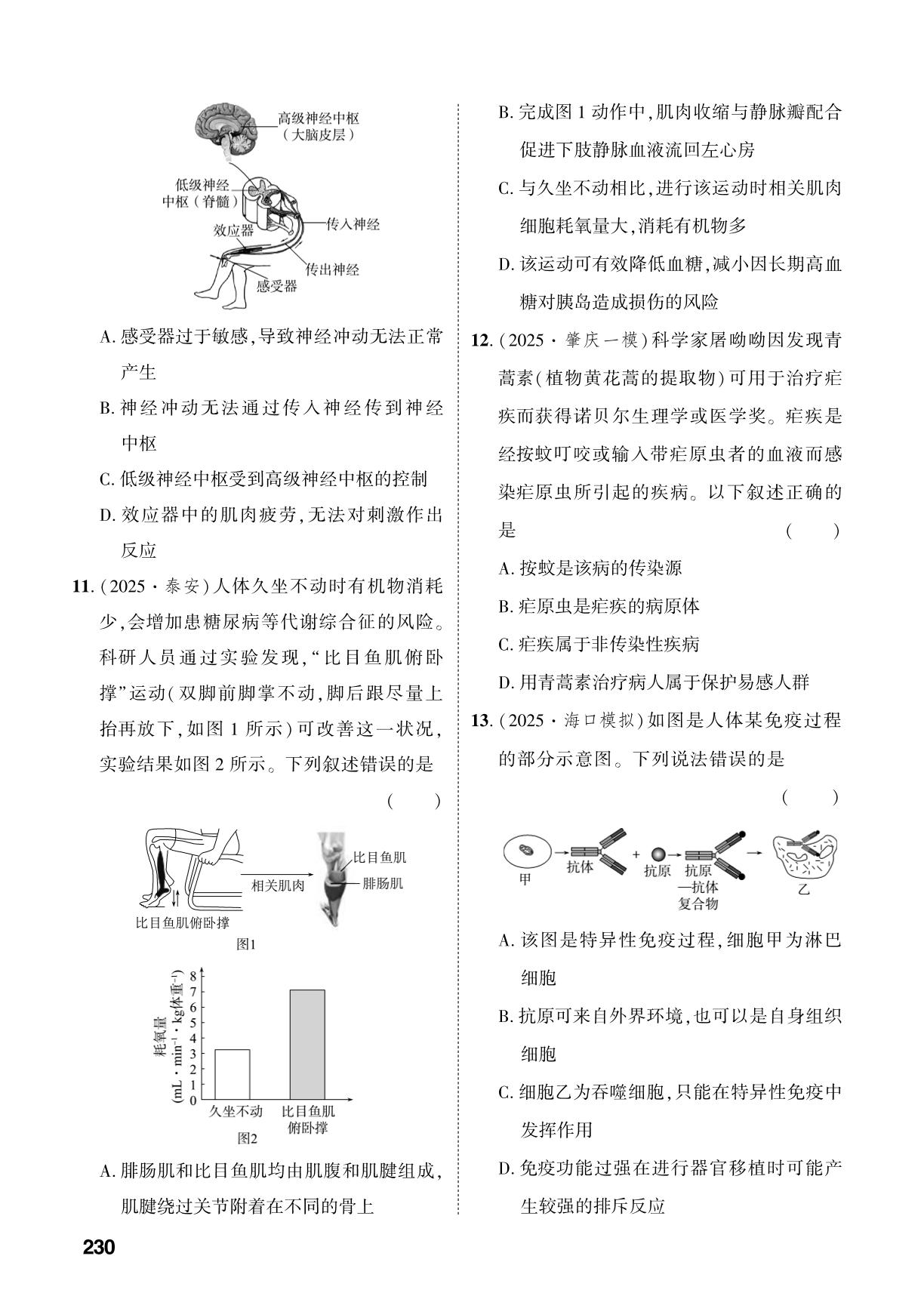 主题5 人体生理与健康-【中考对策】2026年中考总复习生物（人教版）