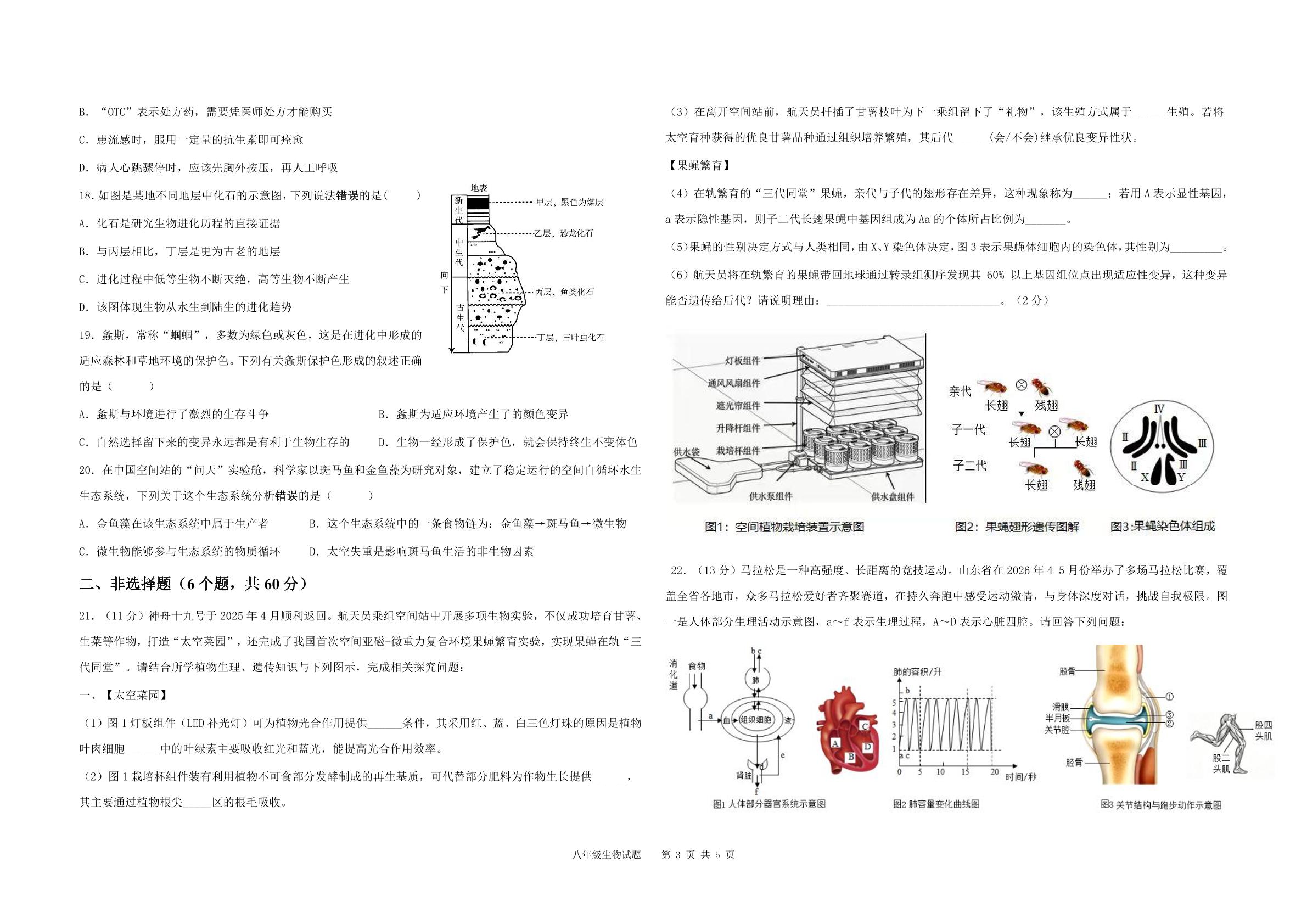山东德州市夏津县2025-2026学年第二学期八年级第一次模拟考试生物试题