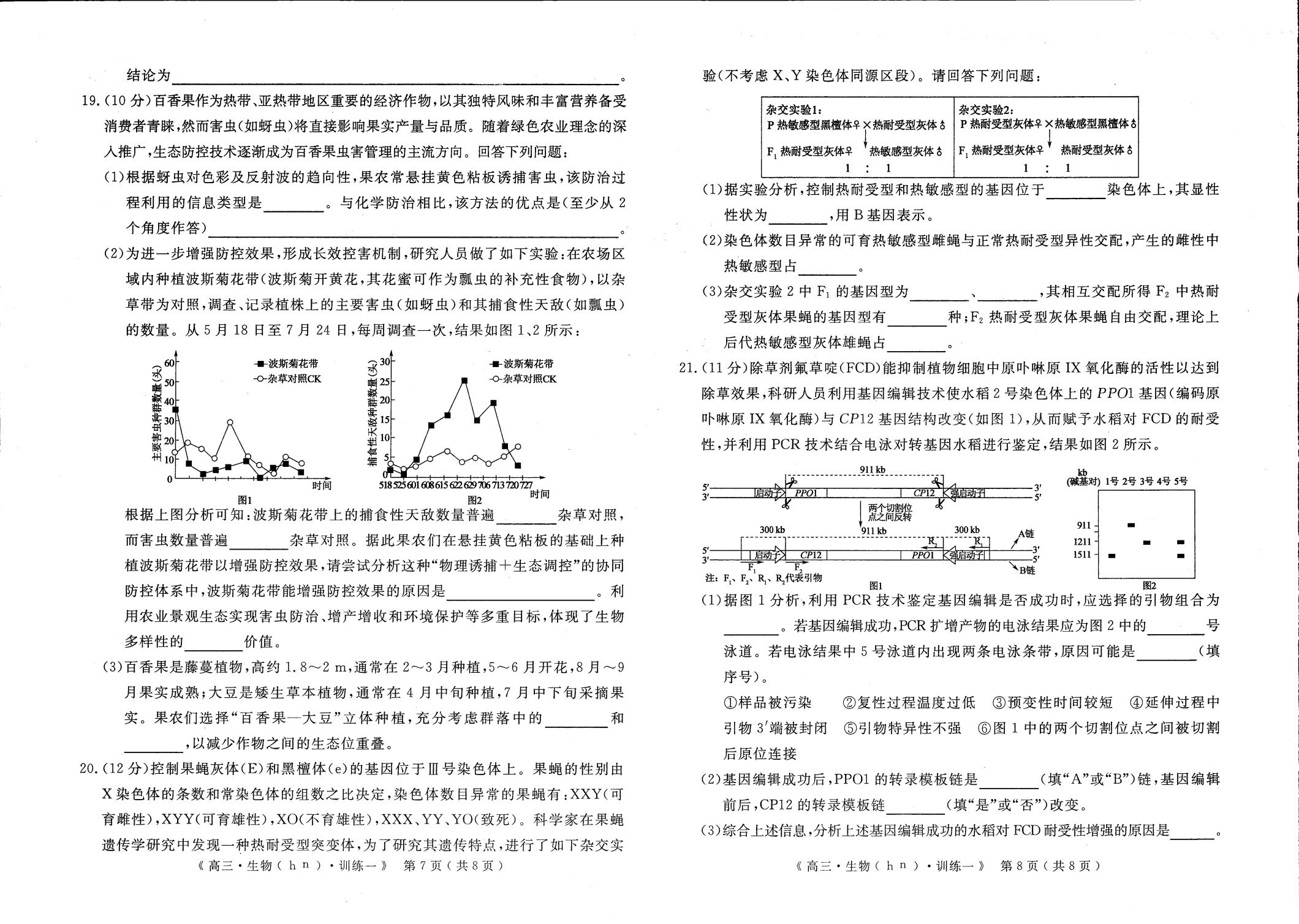 河南省2026届高三适应性训练（一）生物试卷