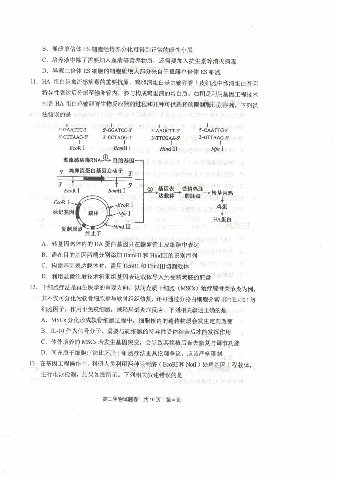 河南省安阳一中等校2025-2026学年高二下学期5月联考生物试卷