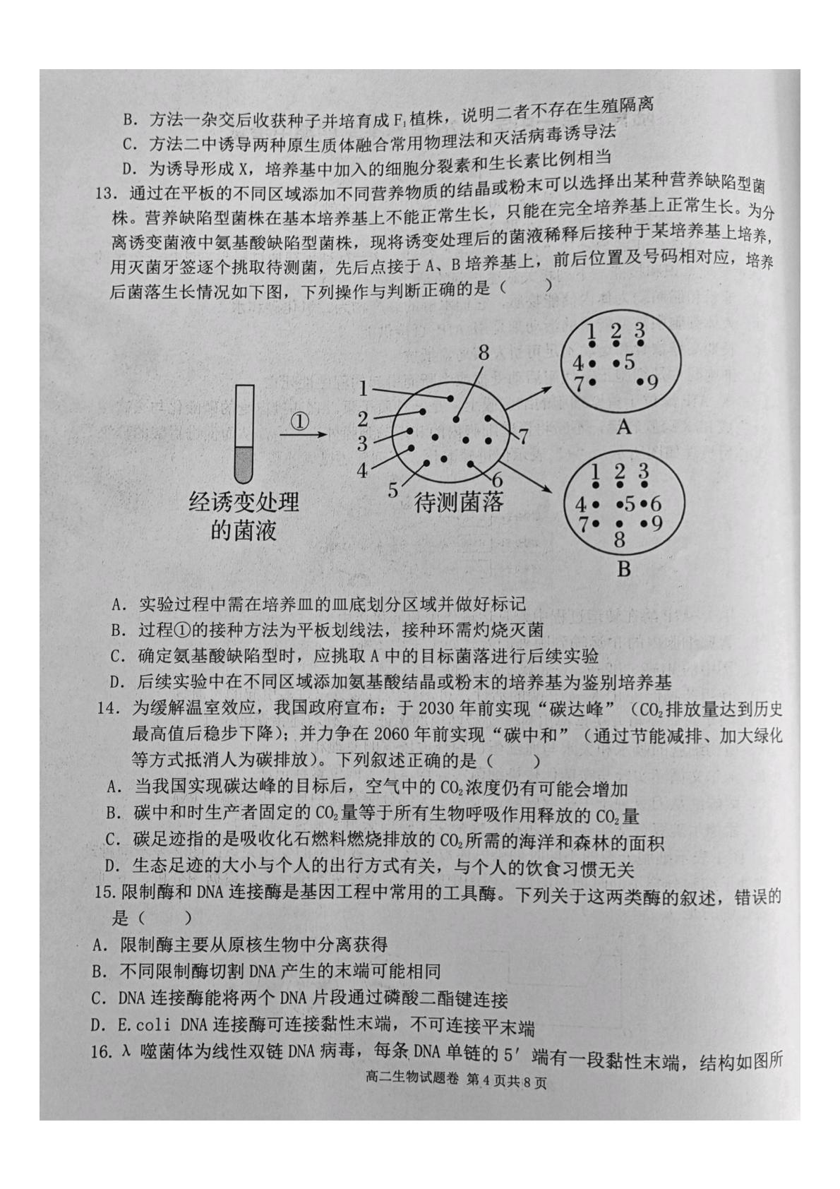 云南省曲靖市陆良县第一中学2025-2026学年高二下学期5月期中生物试题