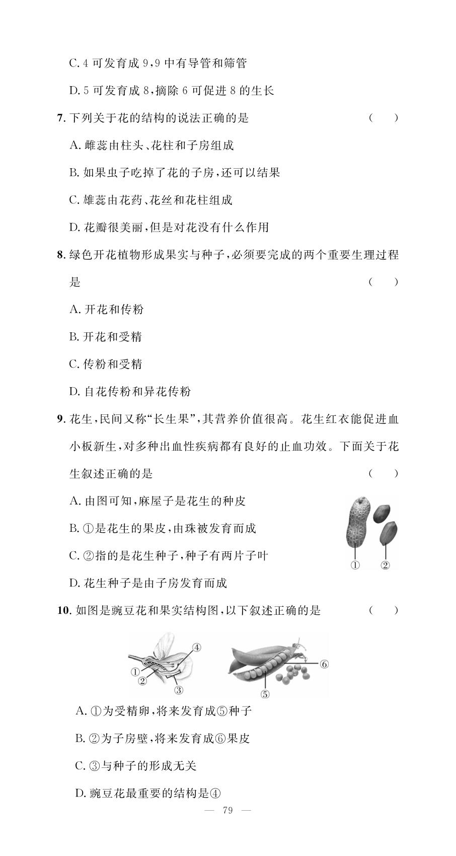 第3单元 第1章 被子植物的一生测试与评价-【名师学案】2025-2026学年七年级下册生物分层进阶学习法（人教版·新教材）