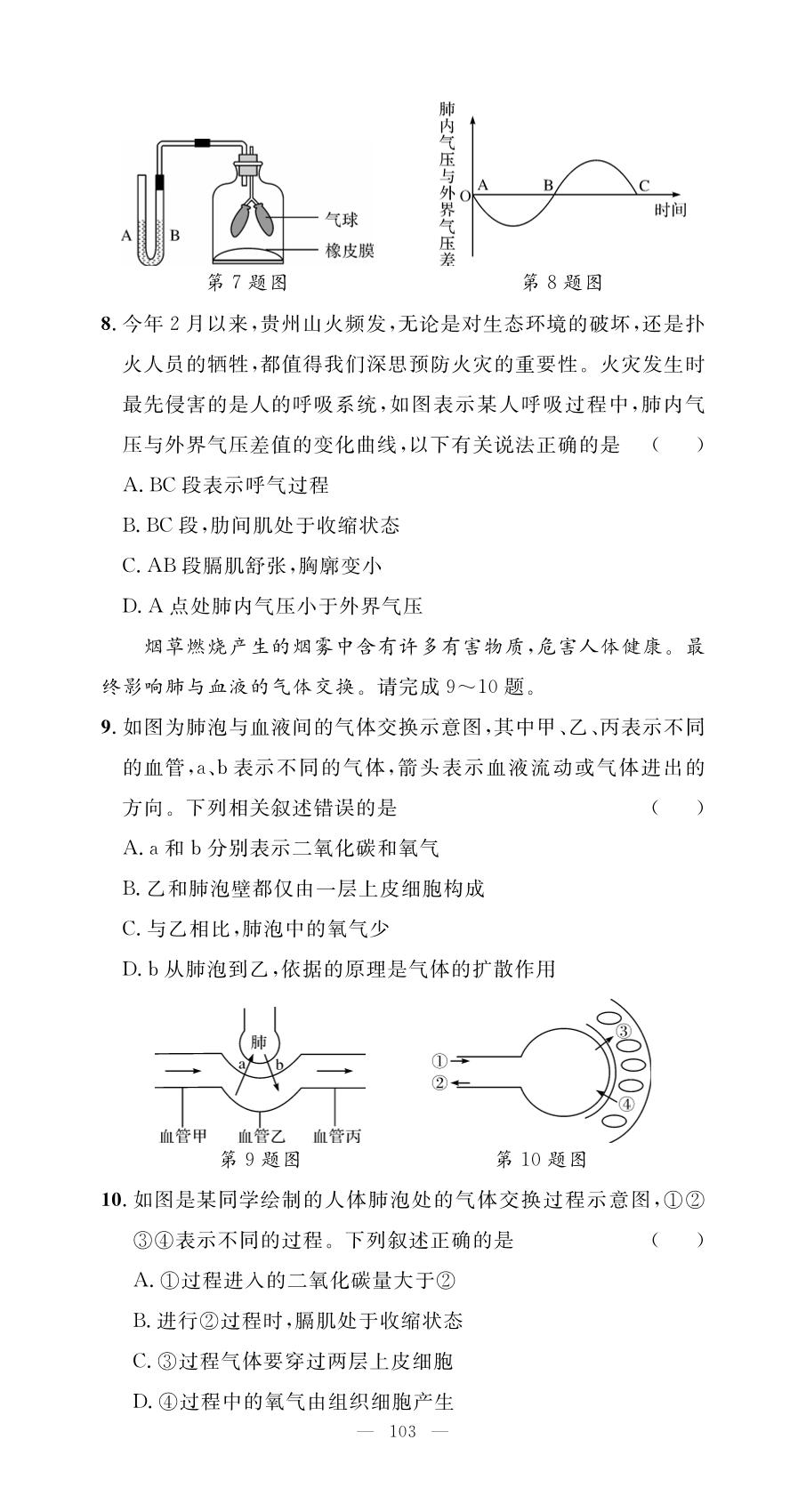 第4单元 第3章 人体的呼吸测试与评价-【名师学案】2025-2026学年七年级下册生物分层进阶学习法（人教版·新教材）