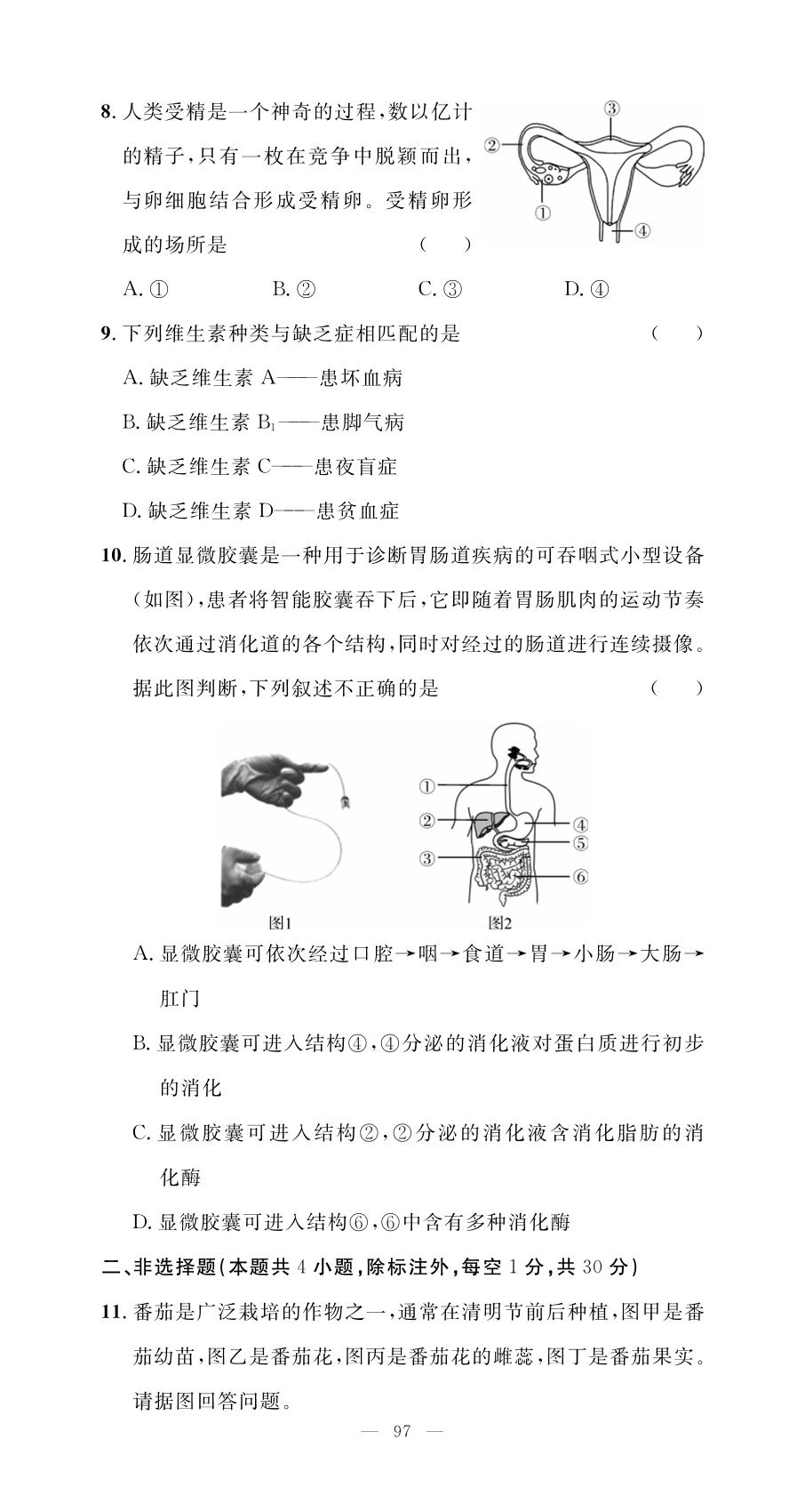 期中测试与评价-【名师学案】2025-2026学年七年级下册生物分层进阶学习法（人教版·新教材）