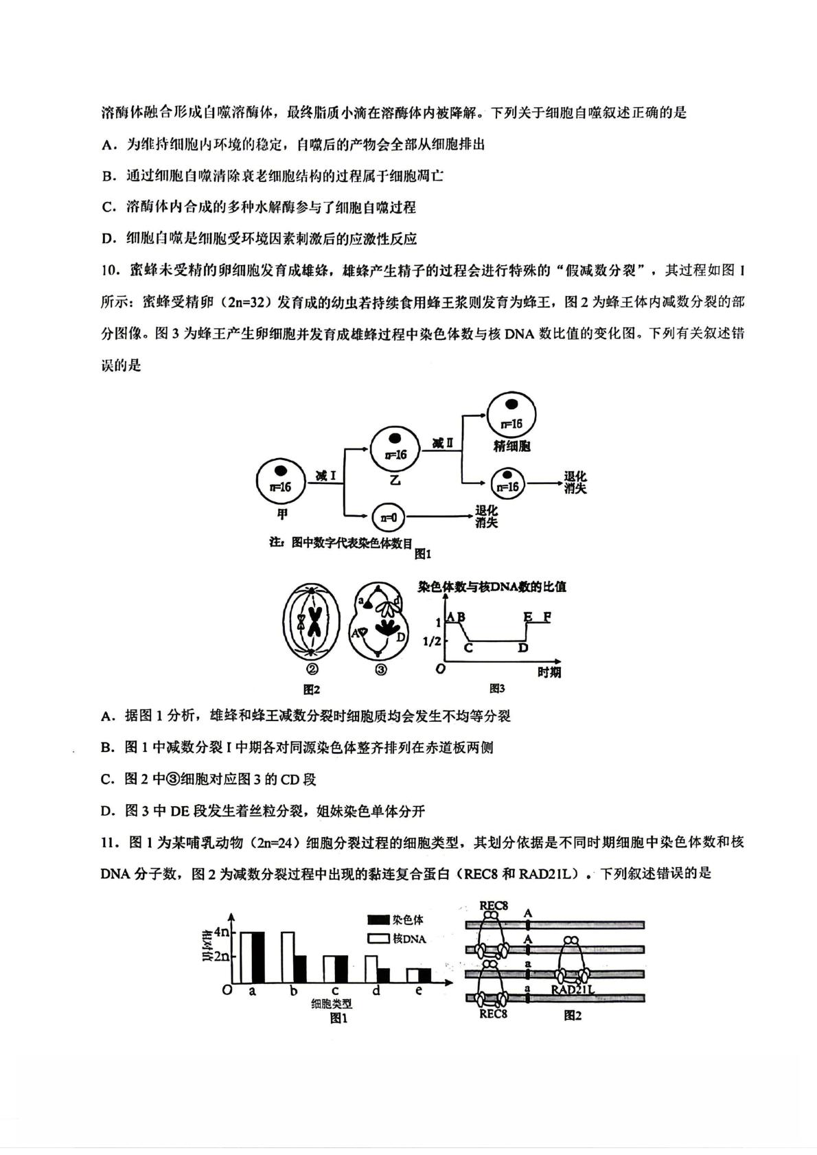 重庆市巴蜀中学校2025-2026学年高一下学期5月期中生物试题