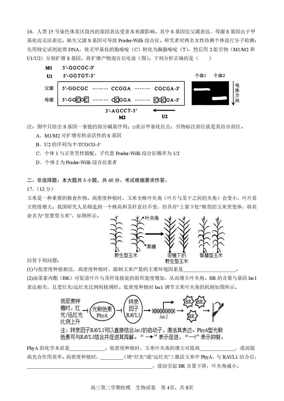 广东省汕头市金中海湾学校2026届高三第二学期校模生物科试卷