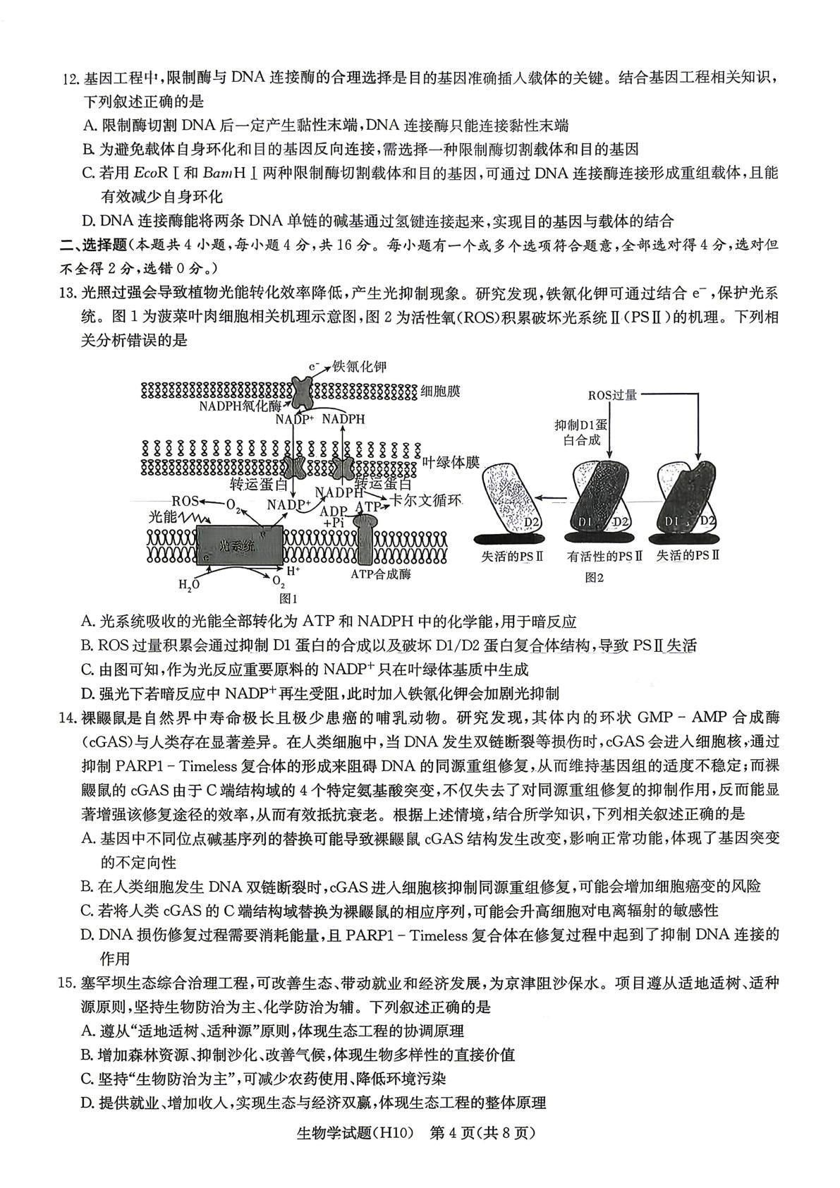 2026届湖南省长沙市雅礼中学高三二模生物试题