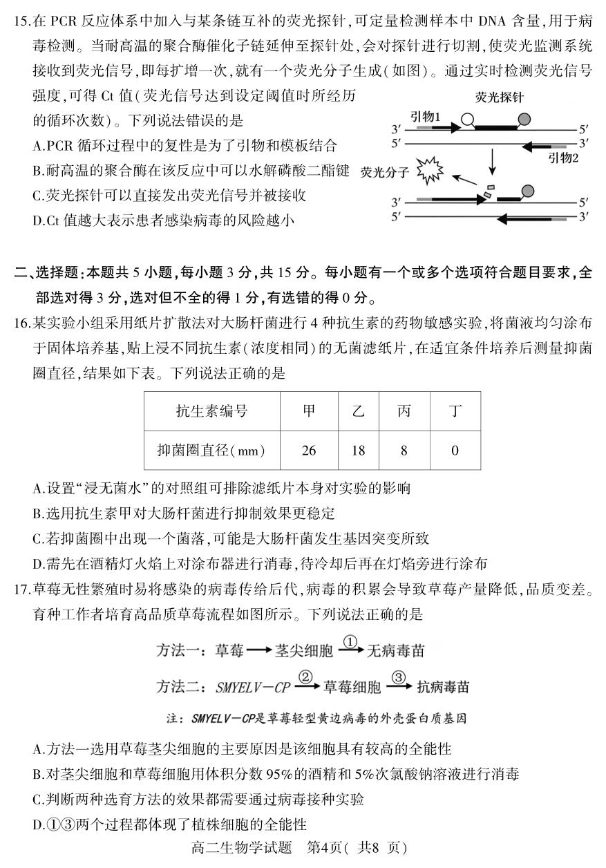 山东省潍坊安丘市2025-2026学年高二下学期期中生物试题