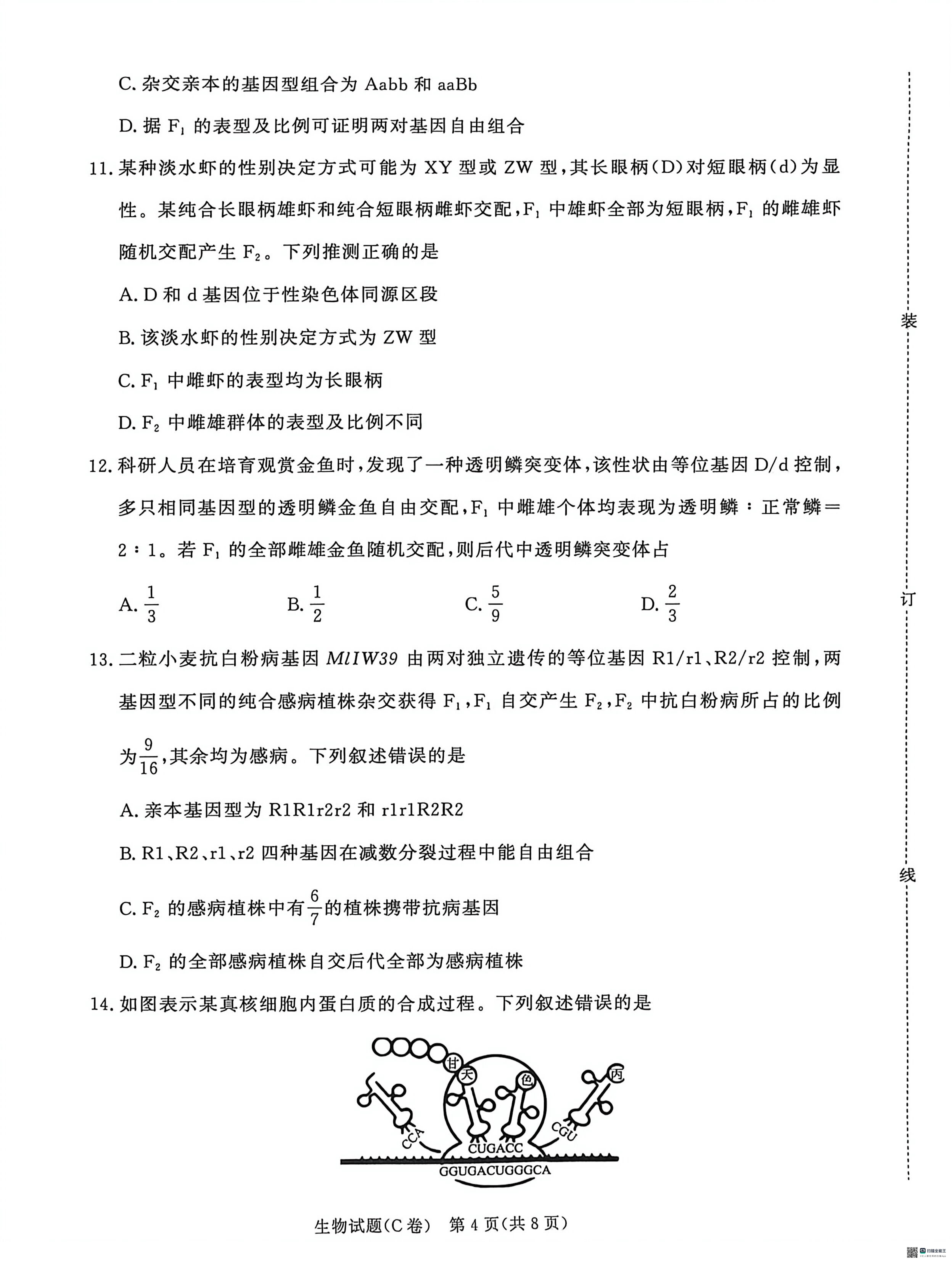 河南周口第一中学等校2025-2026学年高一下学期5月月考生物试题