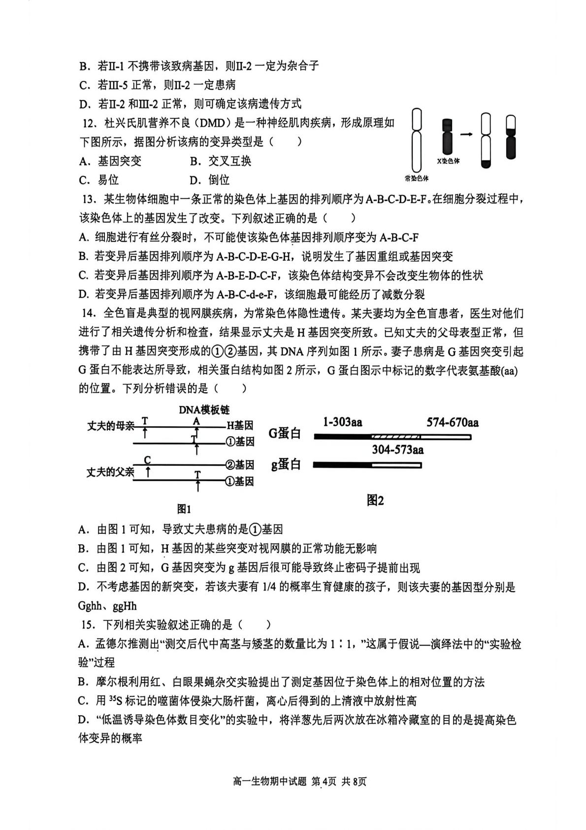 辽宁锦州市某校2025-2026学年高一下学期期中生物试卷