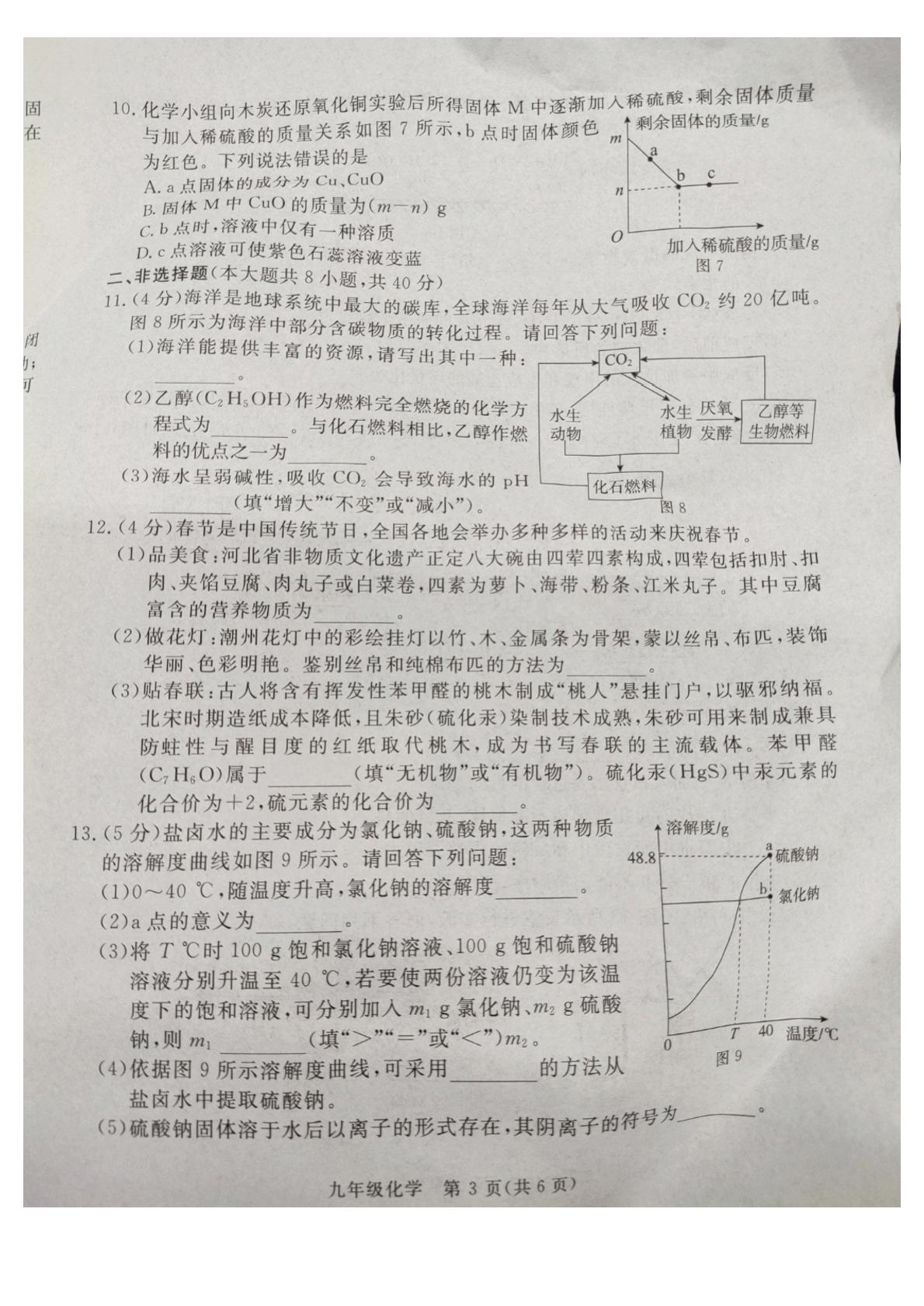 2026年河北廊坊市霸州市中考二模化学试题