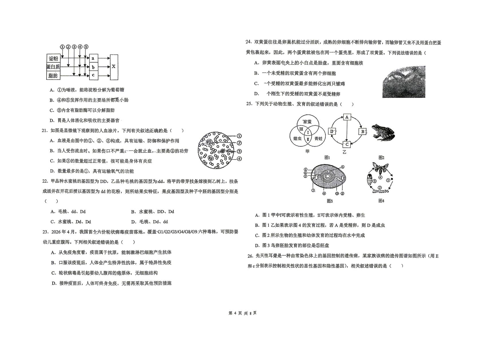 山东青岛市第三十九中学2026年中考二模八年级生物试题