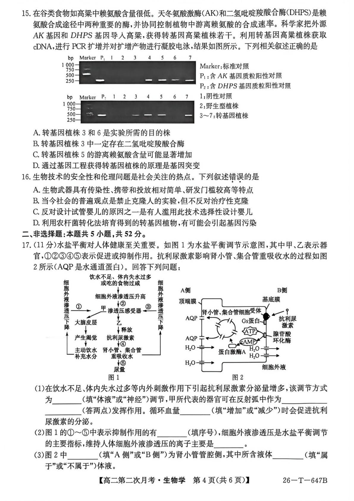 云南省楚雄彝族自治州楚雄州2025-2026学年高二下学期5月期中生物试题