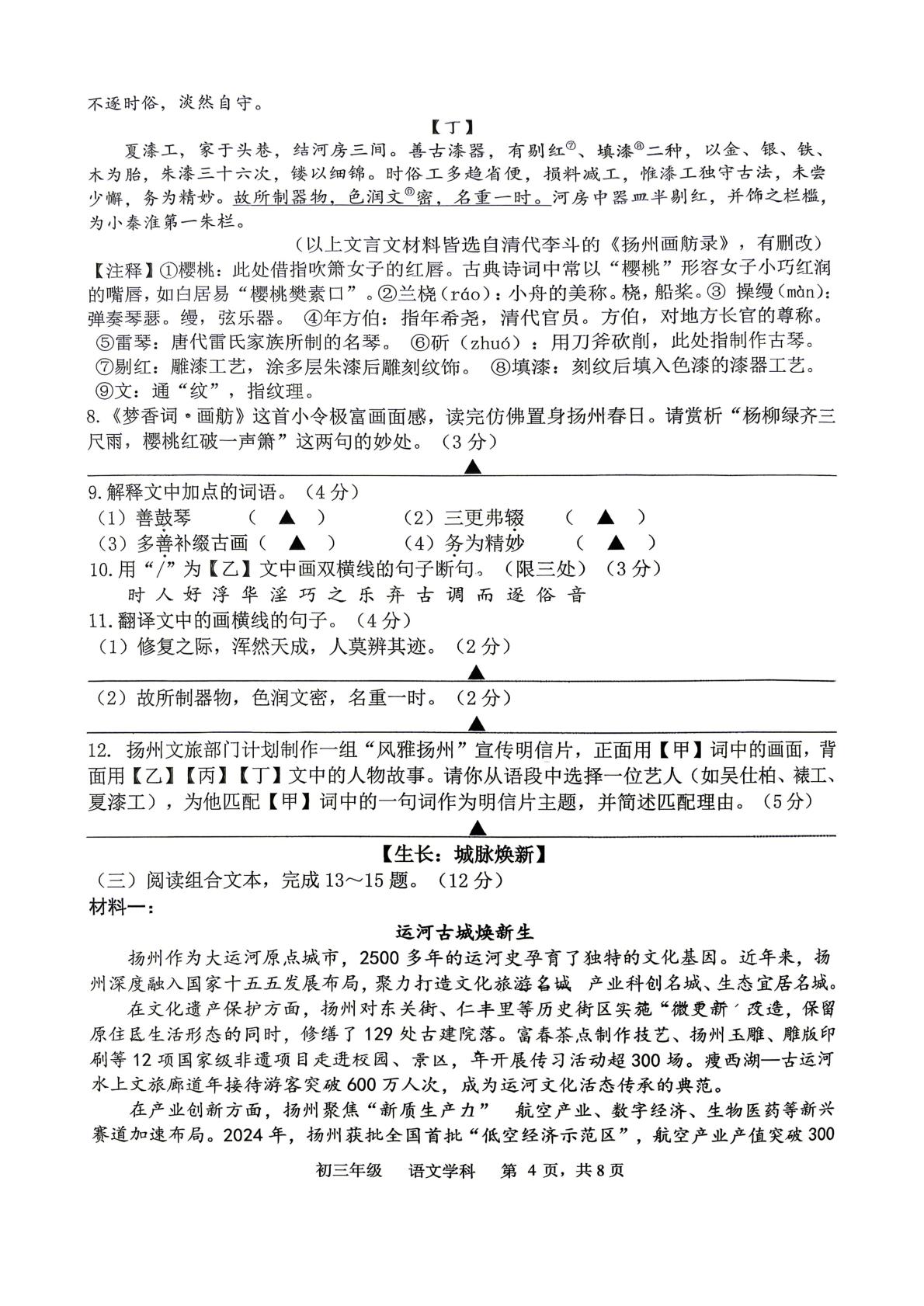 江苏扬州市梅岭集团2025-2026学年九年级下学期 中考二模语文试卷