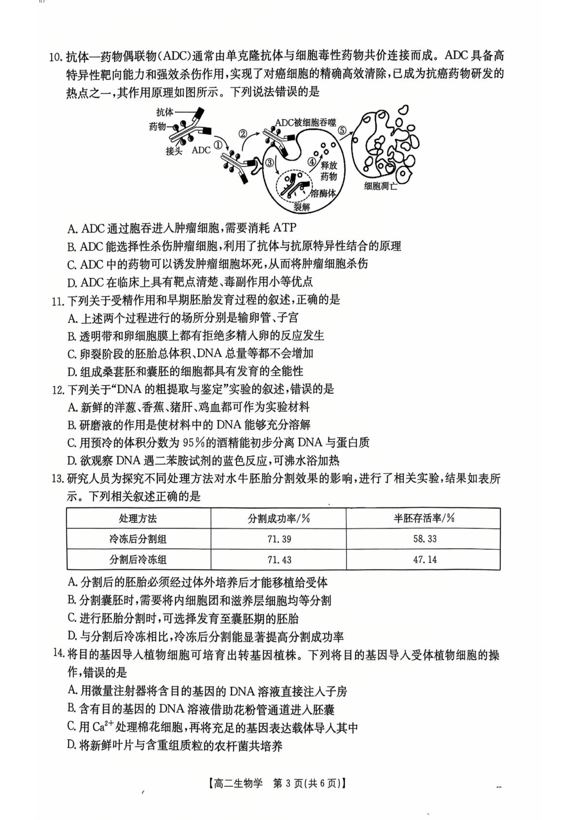 陕西省西安市雁塔区西安藤信高级中学2025-2026学年高二下学期5月期中生物试题