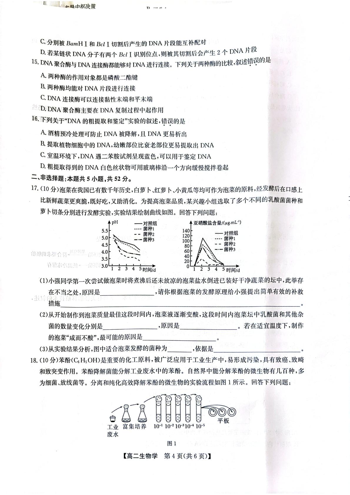 甘肃酒泉市玉门一中等校2025-2026学年高二下学期5月阶段检测生物试题