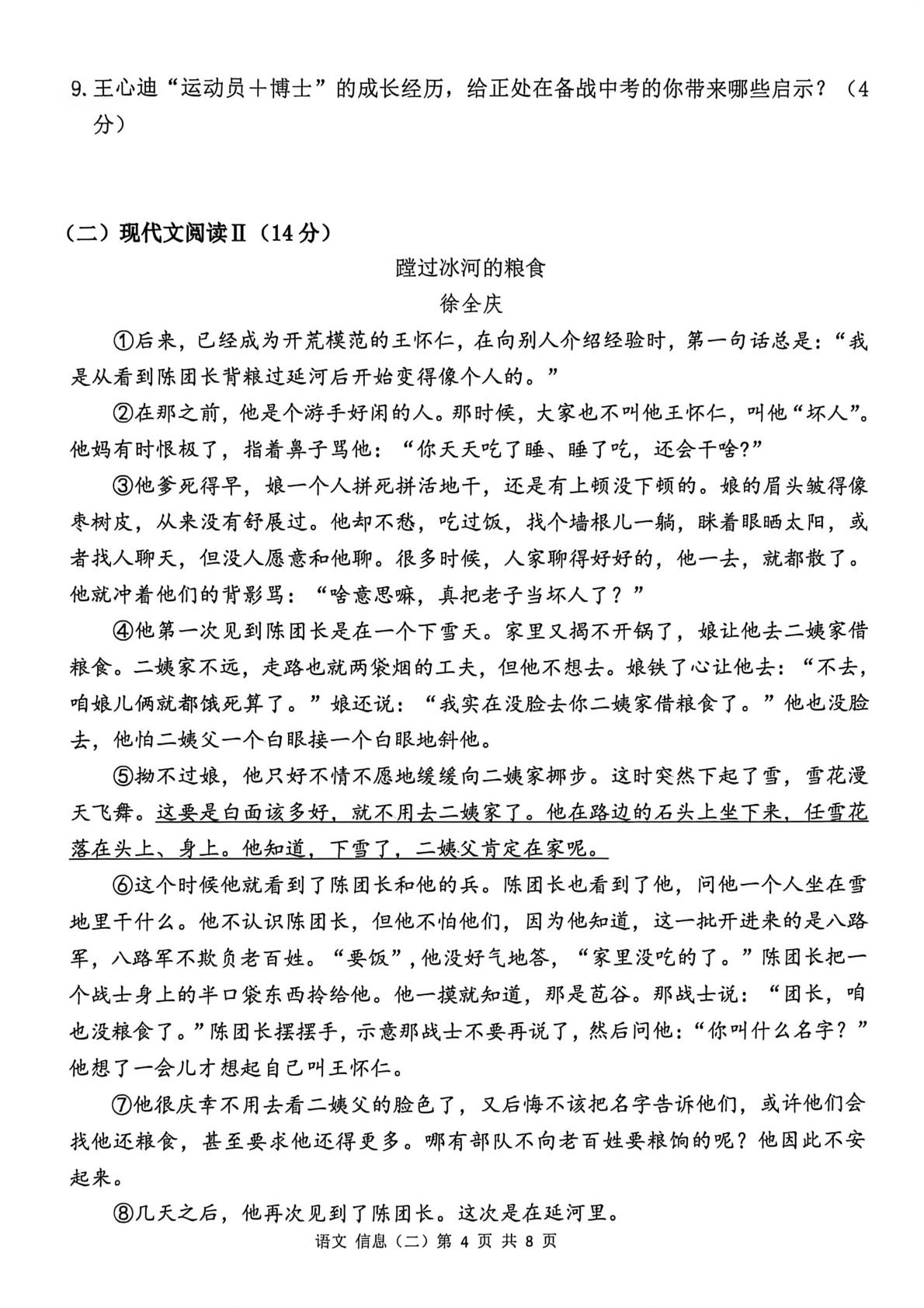 湖南邵阳市邵东市2025-2026学年九年级下学期语文5月阶段学情自测