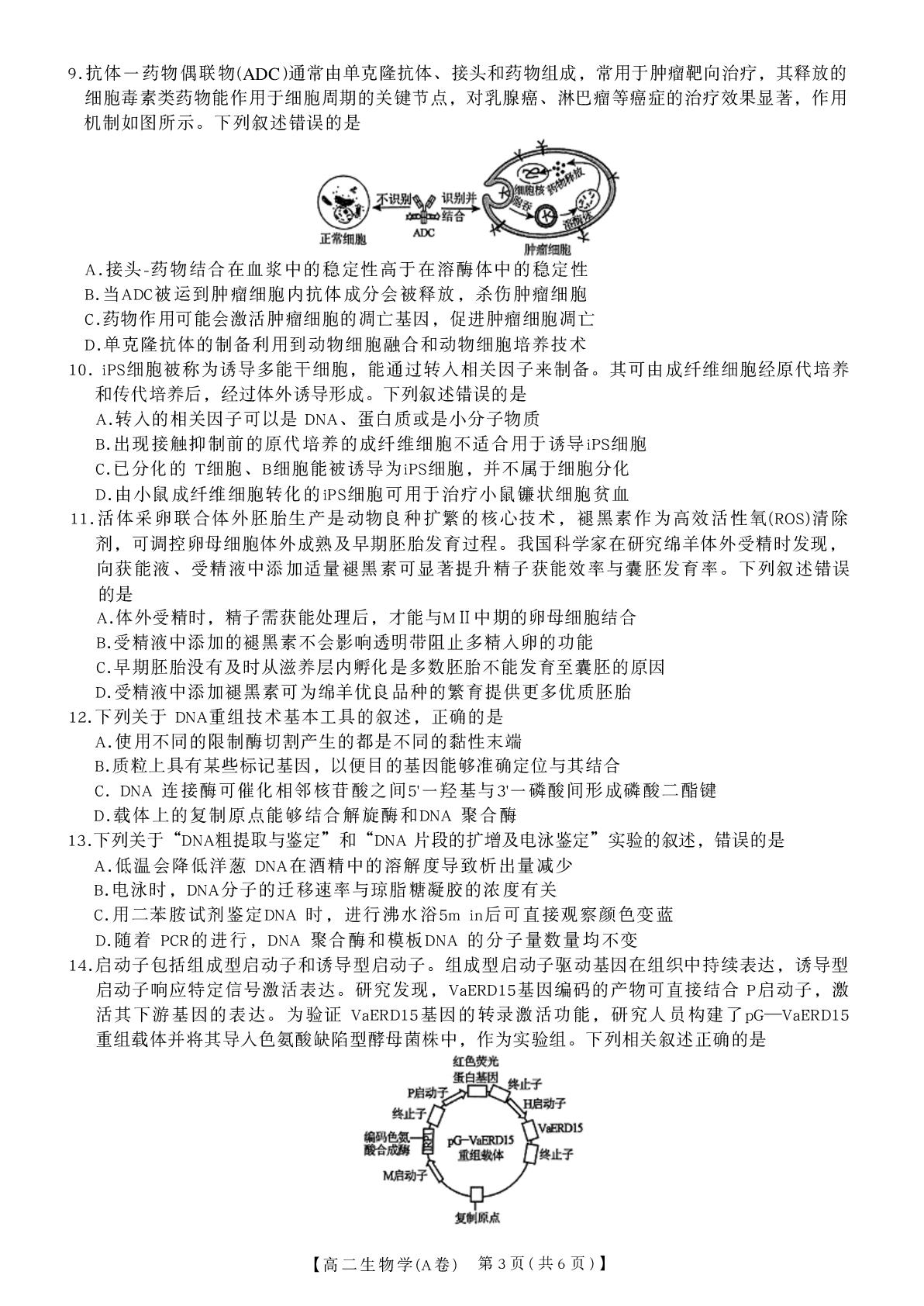 安徽宿州市萧县中学等校2025-2026学年高二下学期5月月考生物试卷