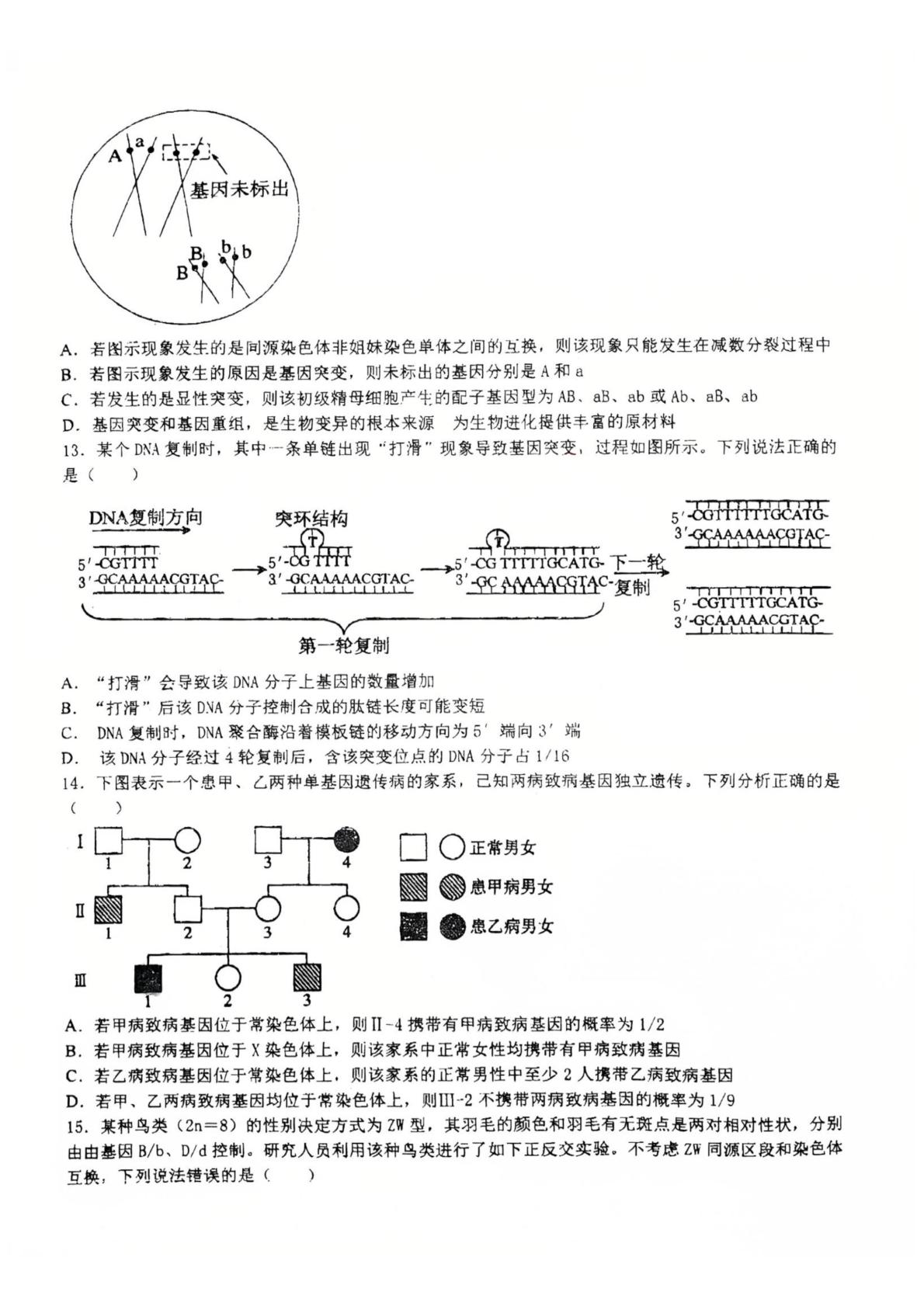 四川达州市大竹中学2025-2026学年高一下学期5月阶段检测生物试题