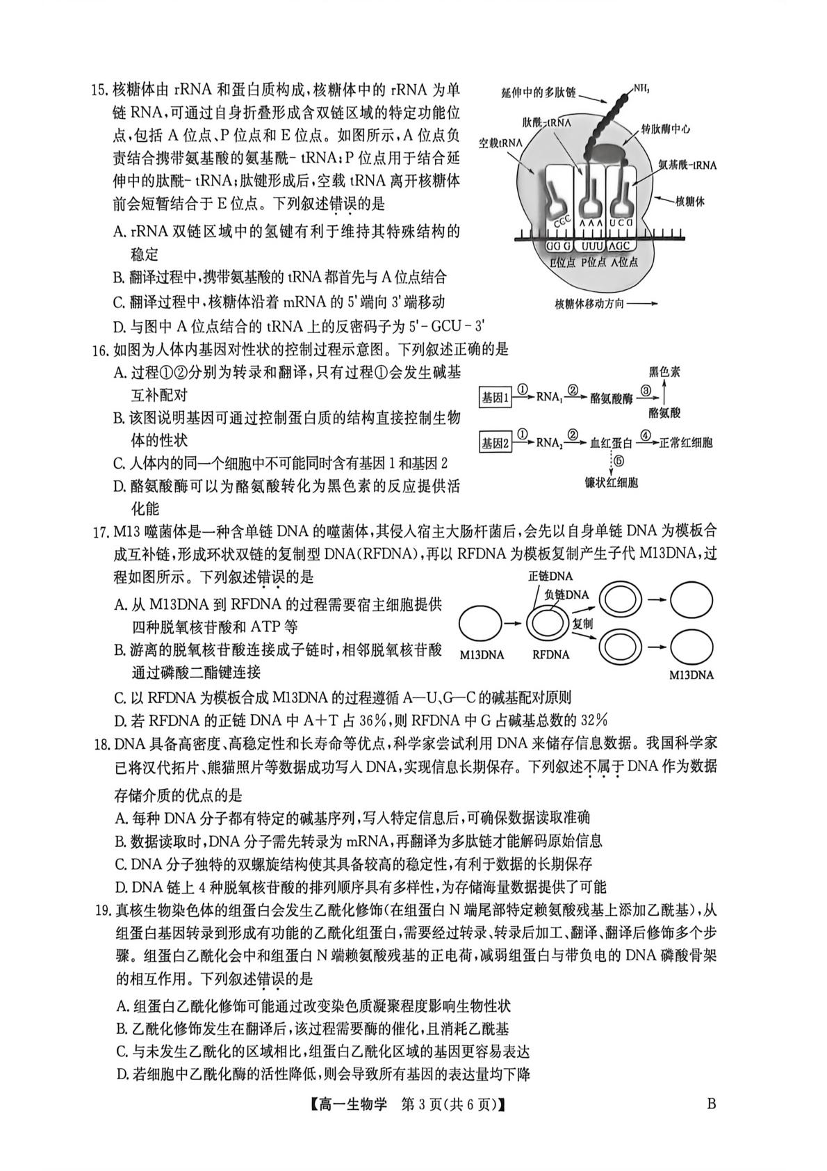 河南郑州中学等校2025-2026学年高一下学期6月期中生物试题