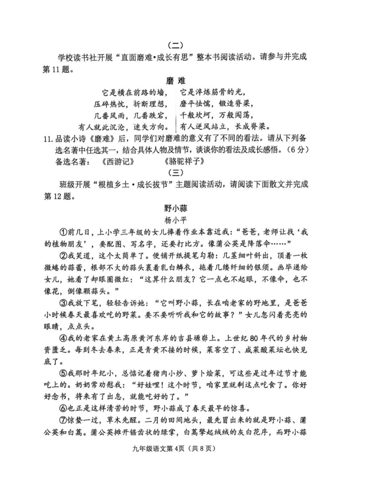 山西晋中市榆次区2025-2026学年九年级下学期 中考二模语文试卷