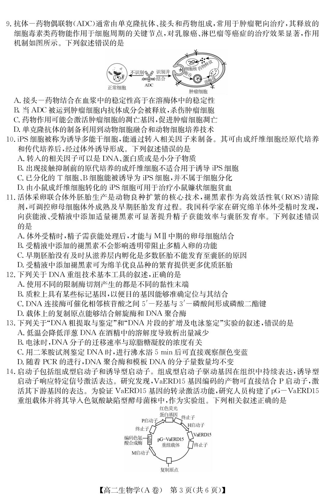 【安徽省县中联盟】2025-2026学年下学期高二5月联考生物（A卷）试题
