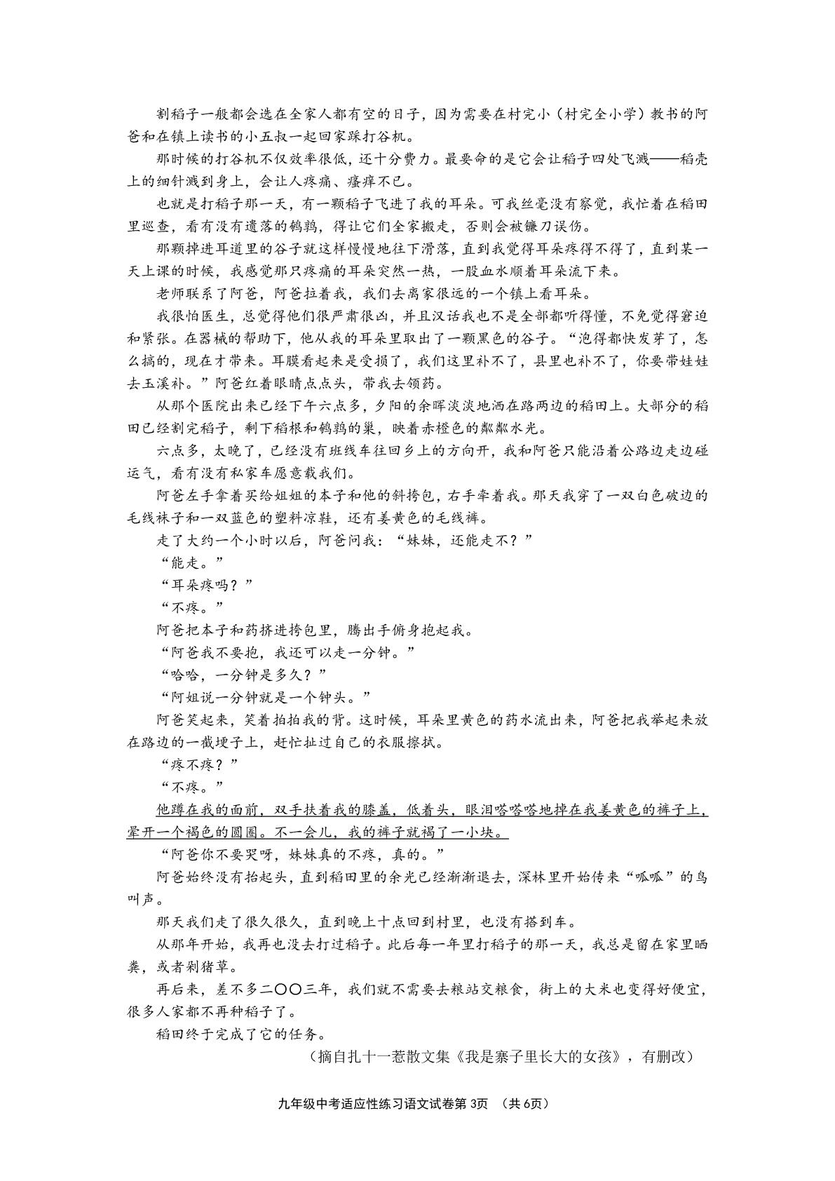 浙江绍兴市柯桥区2025-2026学年九年级下学期 中考二模语文试卷